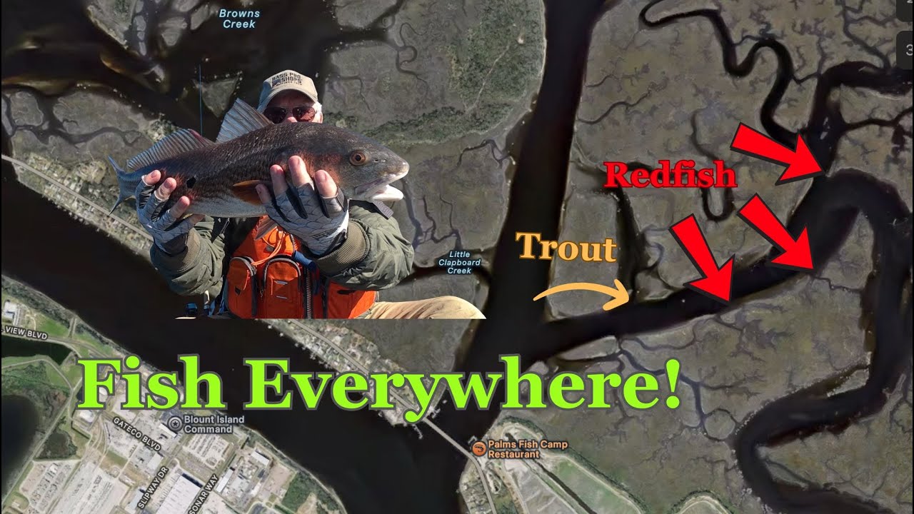 Large Redfish In The Creek | Clapboard Creek Jacksonville, FL