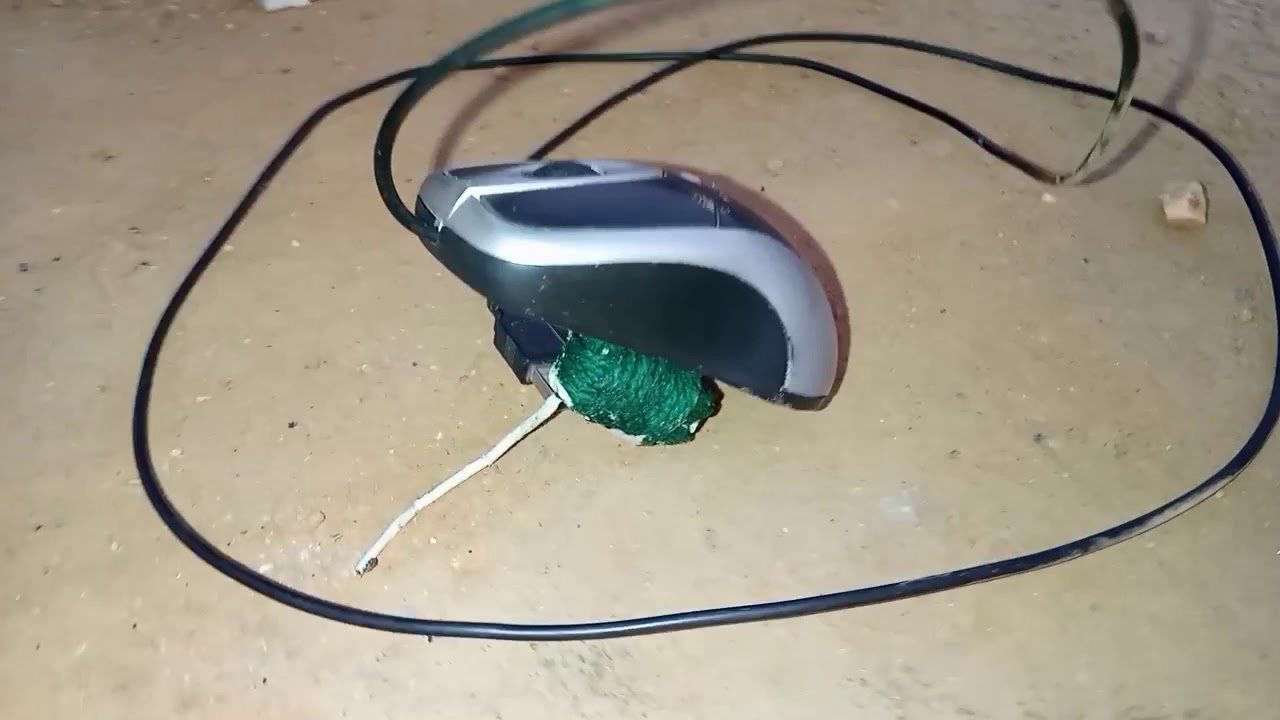 Mouse vs sutli bomb || new experiment ||