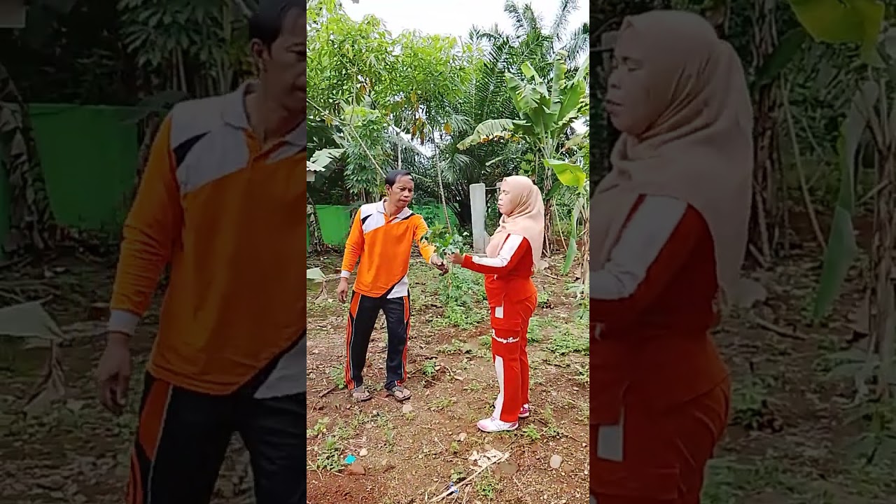 Tanam pohon di sekolah 