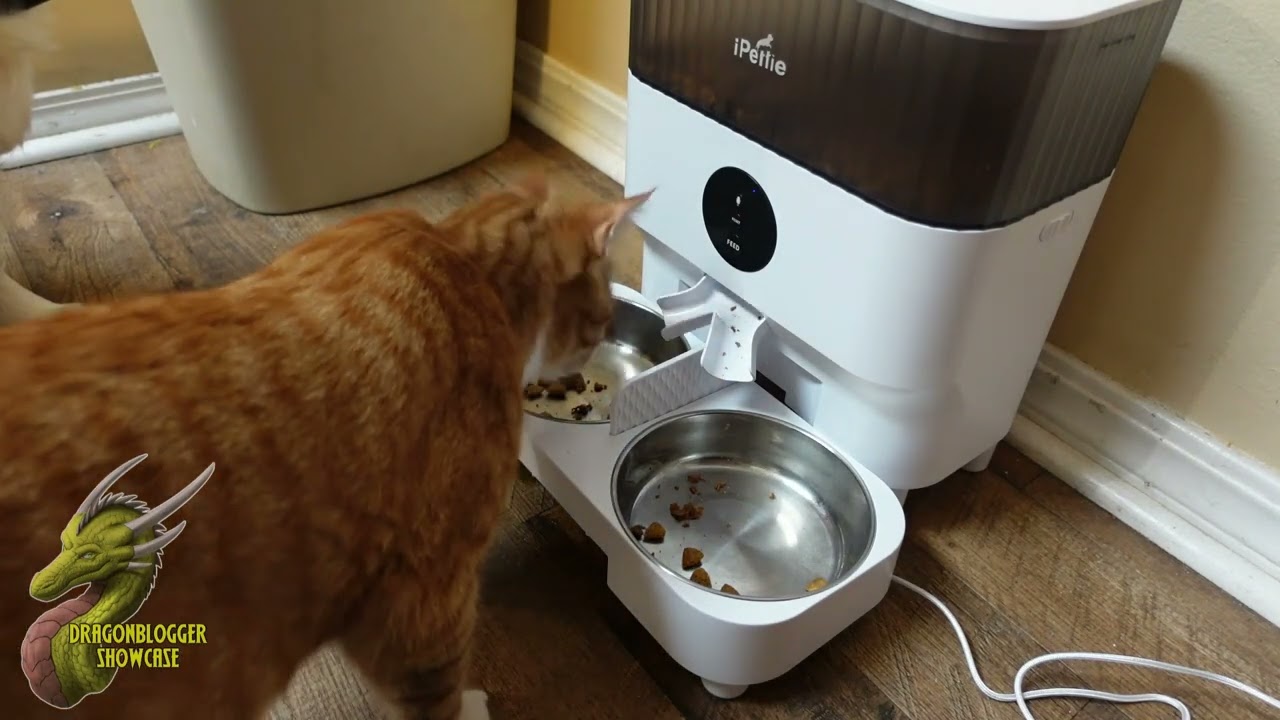 iPettie Automatic Dual Pet Feeder Great for Cats and Dogs
