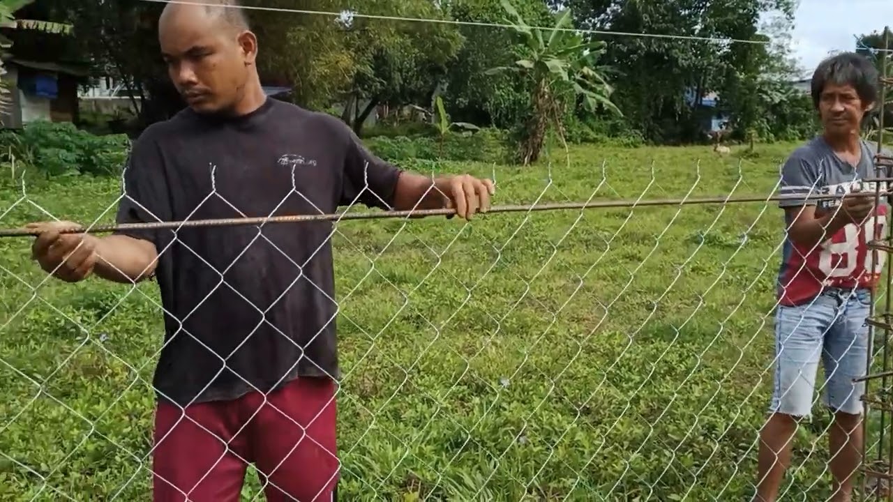 cheap fence: interlink na bakod para sa goat farm