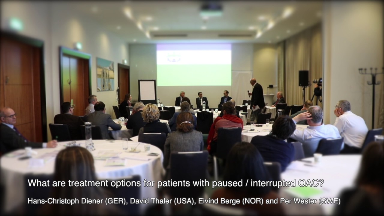 Heart & Brain Summit Panel discussion #2 Hans Christoph Diener,David Thaler,Eivind Berge,Per Wester