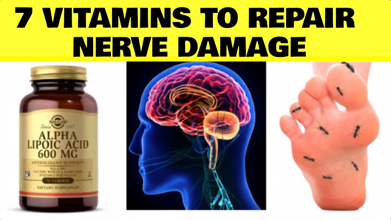 ✅ The TOP 7 Vitamins To REPAIR Your NERVES