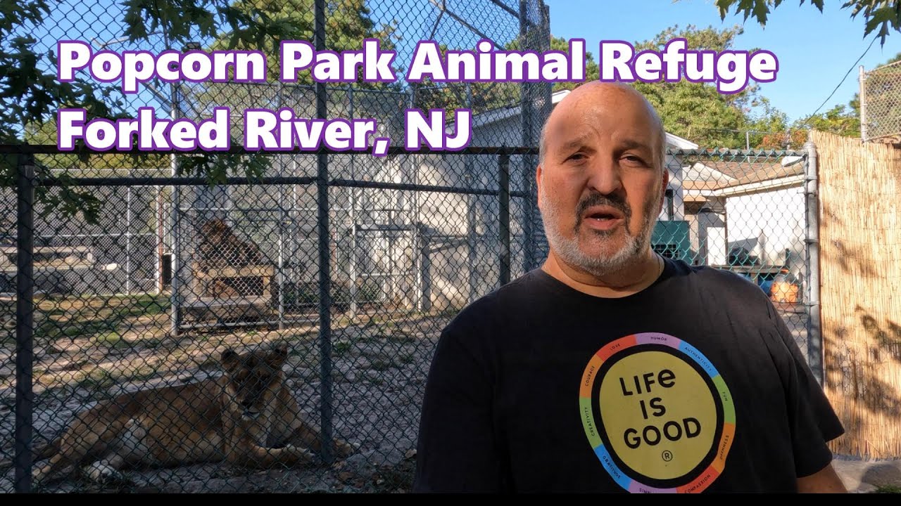 Animal Lovers! Visit and Help the Animals at the Popcorn Park Animal Refuge, Forked River, NJ
