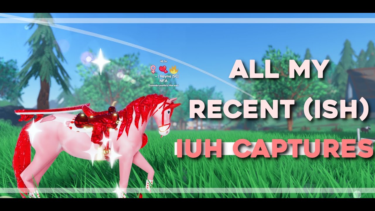 All recent(ish) IUH captures! || Wild horse islands