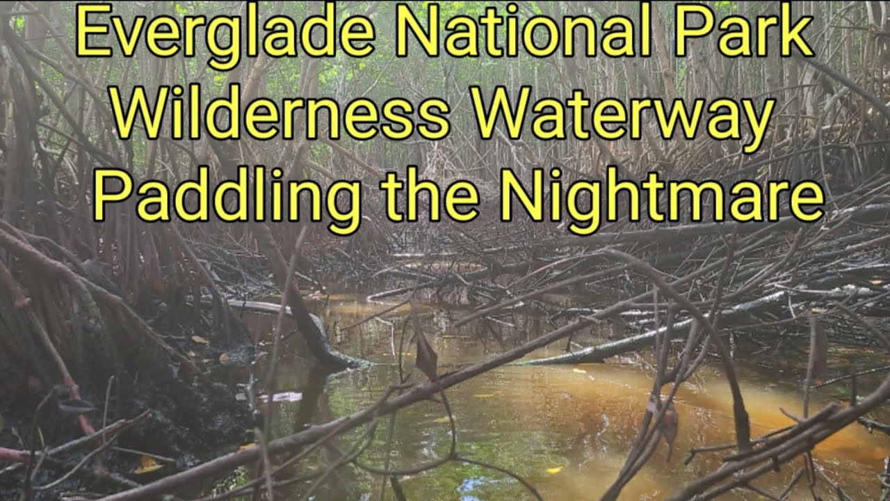 Everglade National Park Wilderness Waterway Canoe Trip Paddling the Nightmare