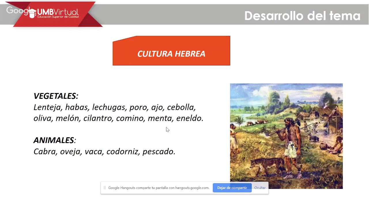 historia de la alimentación