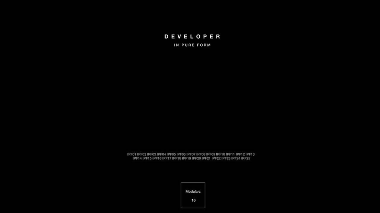 Developer  &mdash; In Pure Form 18