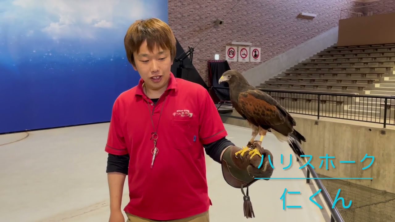 【阿蘇カドリー・ドミニオン】普段は見れない飼育員のお仕事をご紹介！前編