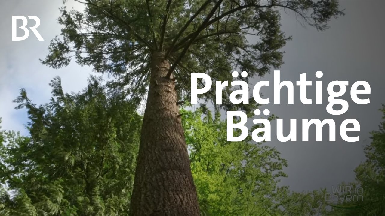 Dendrologischer Garten - Ein ganz besonderer Park in Bad Berneck | Wir in Bayern | BR
