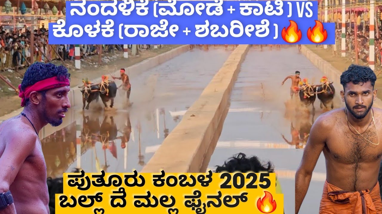 Puttur Kambala 2025 Final🔥 Nandalike vs Kolake Irvathur🔥 | Full detailed video❗🔥❤️