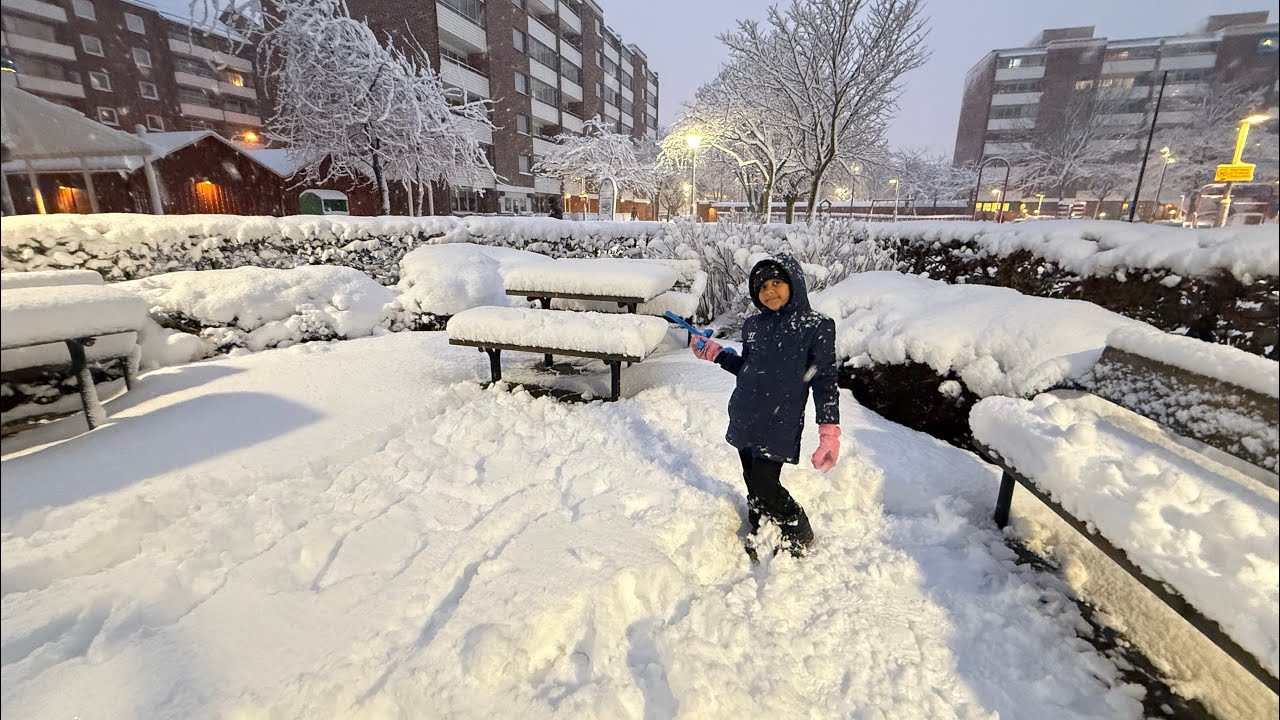 First Snowfall 🇸🇪❄️Sweden -2025-11-20 সুইডেনের তুষারপাত☃️