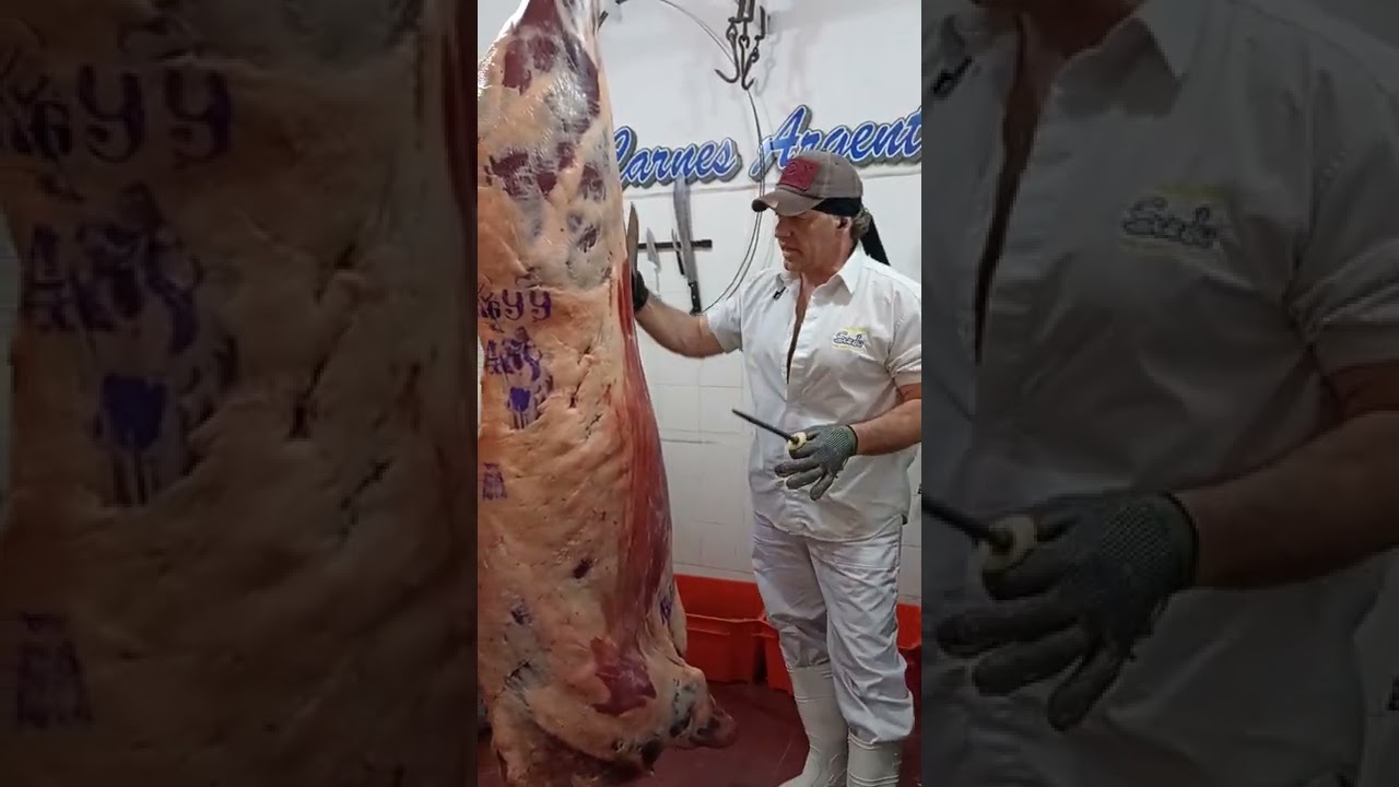 video inicial. DEPOSTE/TROCEO 1/2 RES Vaquillona 99 kilos.