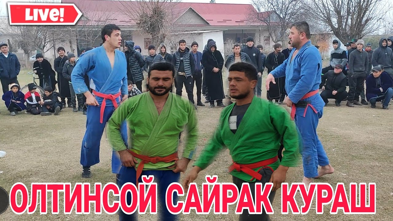 ОЛТИНСОЙ САЙРАК ТУЙ КУРАШИ 22 12 2022