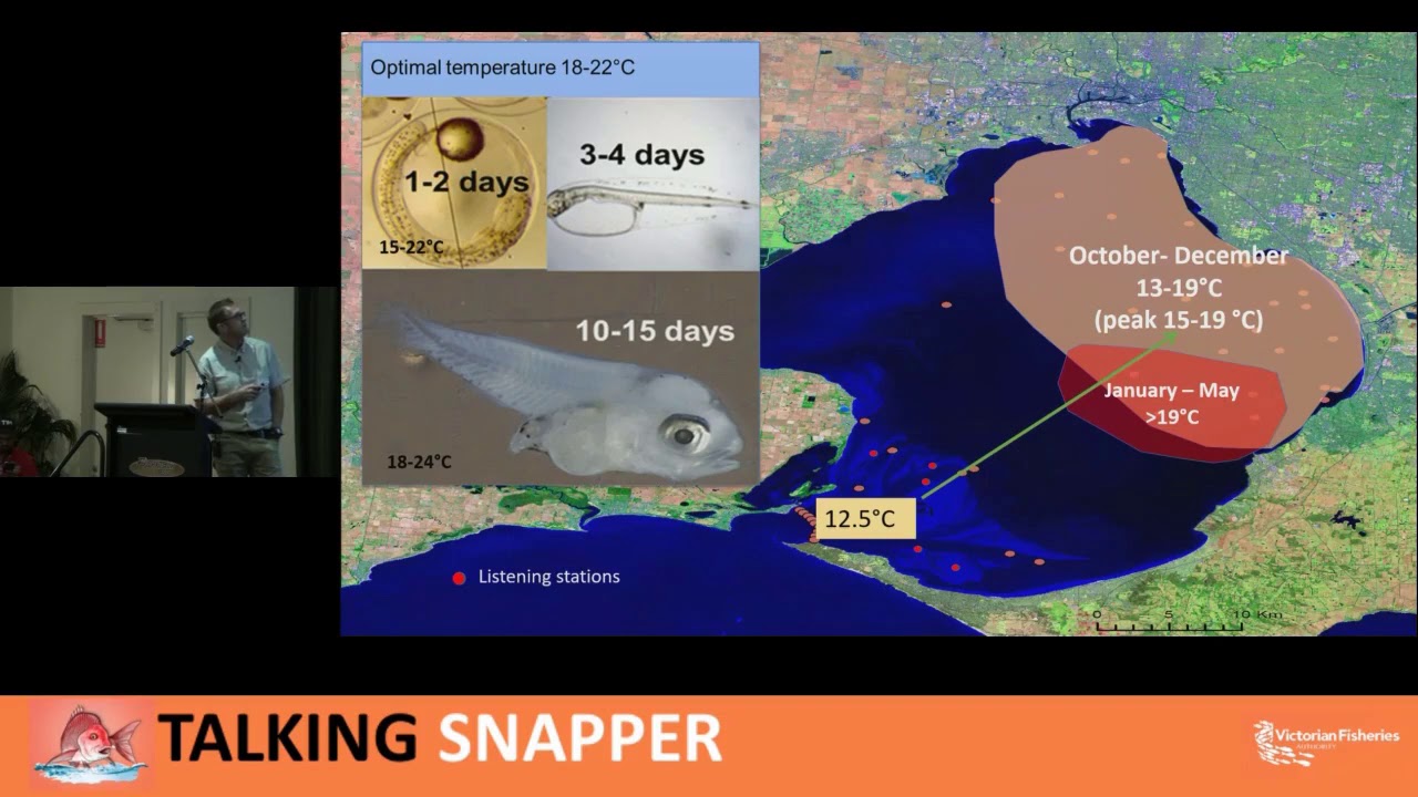 Snapper science - what does the future hold? - Dr Paul Hamer