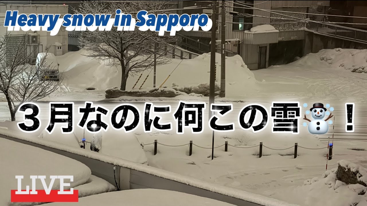 Live配信】札幌にまた雪よ！どれ位積もるか…heavy snow in Sapporo, Hokkaido (遅くなったら寝ます🙇‍♀️)