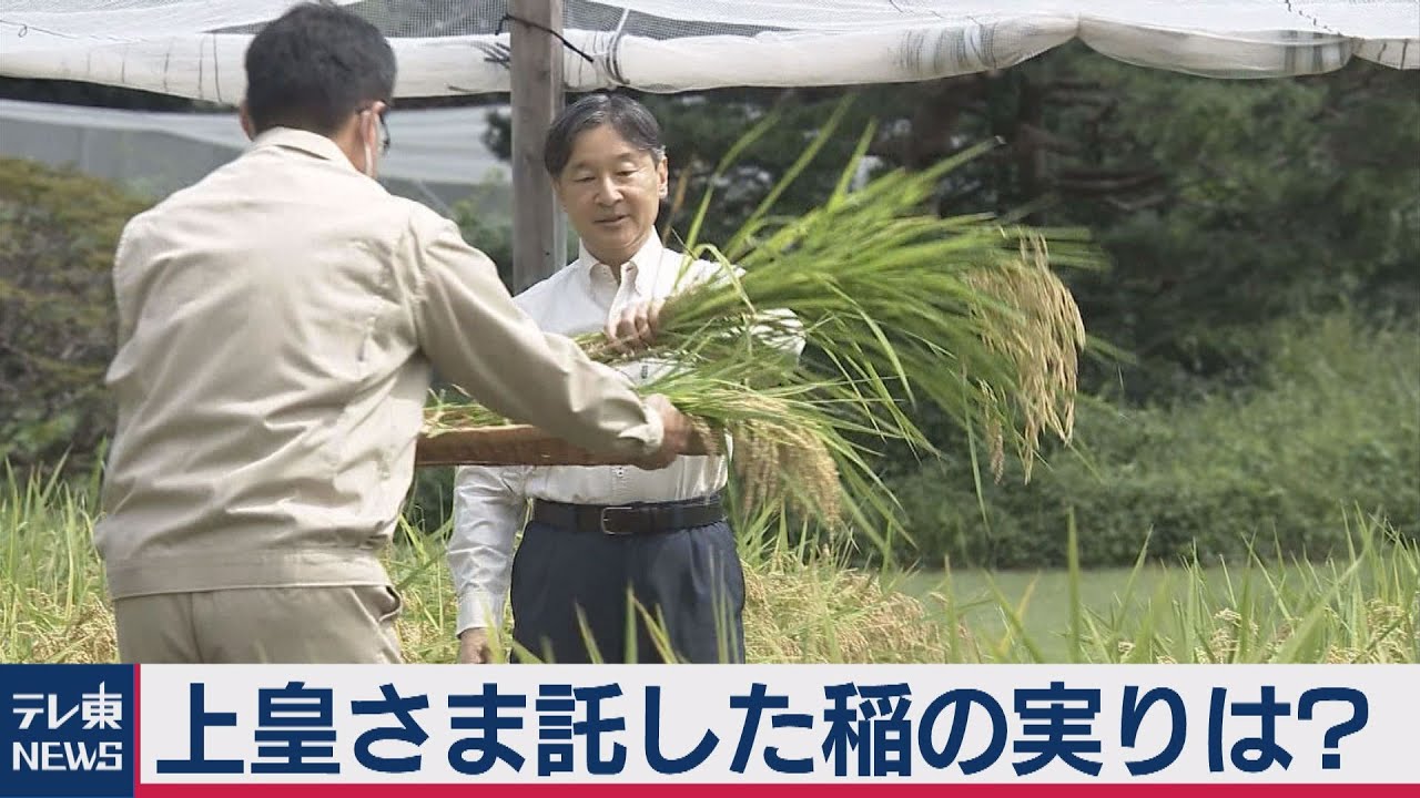 上皇さまから託された稲作…【皇室ちょっといい話】(７)（2020年9月24日）