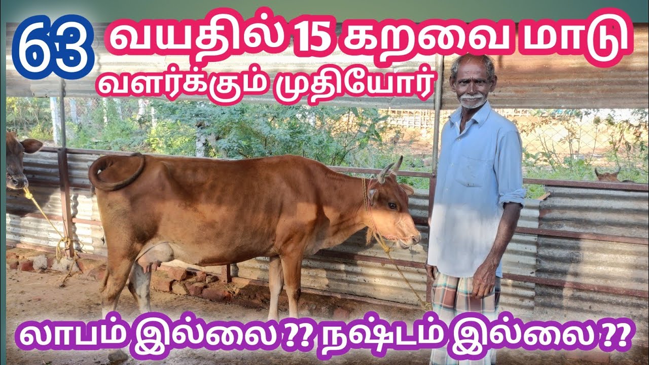 பால் பண்ணையில் 18 வருட வெற்றி விவசாயின் அனுபவ பதிவு | கறவை மாடு வளர்ப்பு | Maadu Valarpu in tamil