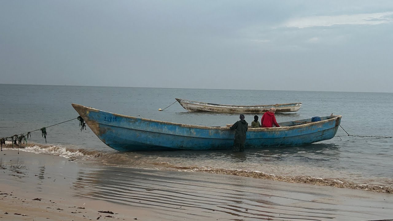 MAURITANIE 3, Désert, Oasis et Océan