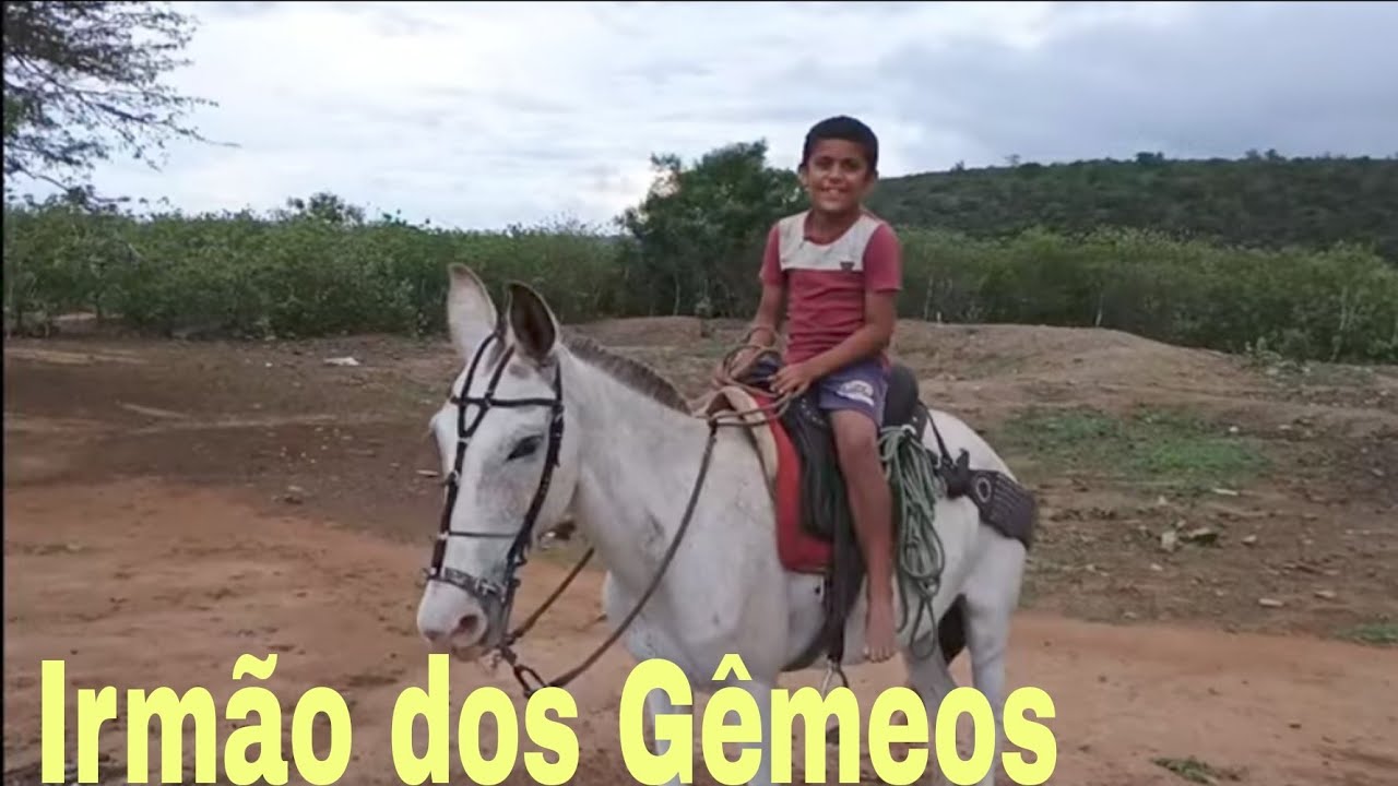 Olha O Andamento Da Cisterna Do Dé Pai Dos Gêmeos