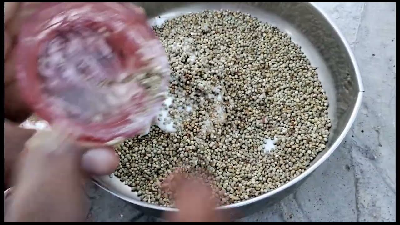 bajre ka chiknawa Gola kabootar ka bajra V.i.P 27/04/2223 Karachi Pakistan