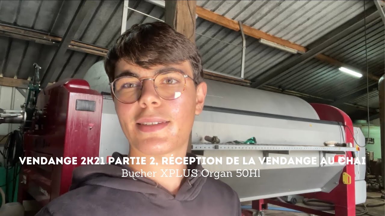 Vendange 2021 partie 2 réception de la vendange au chai, Bucher Xplus Organ 50Hl