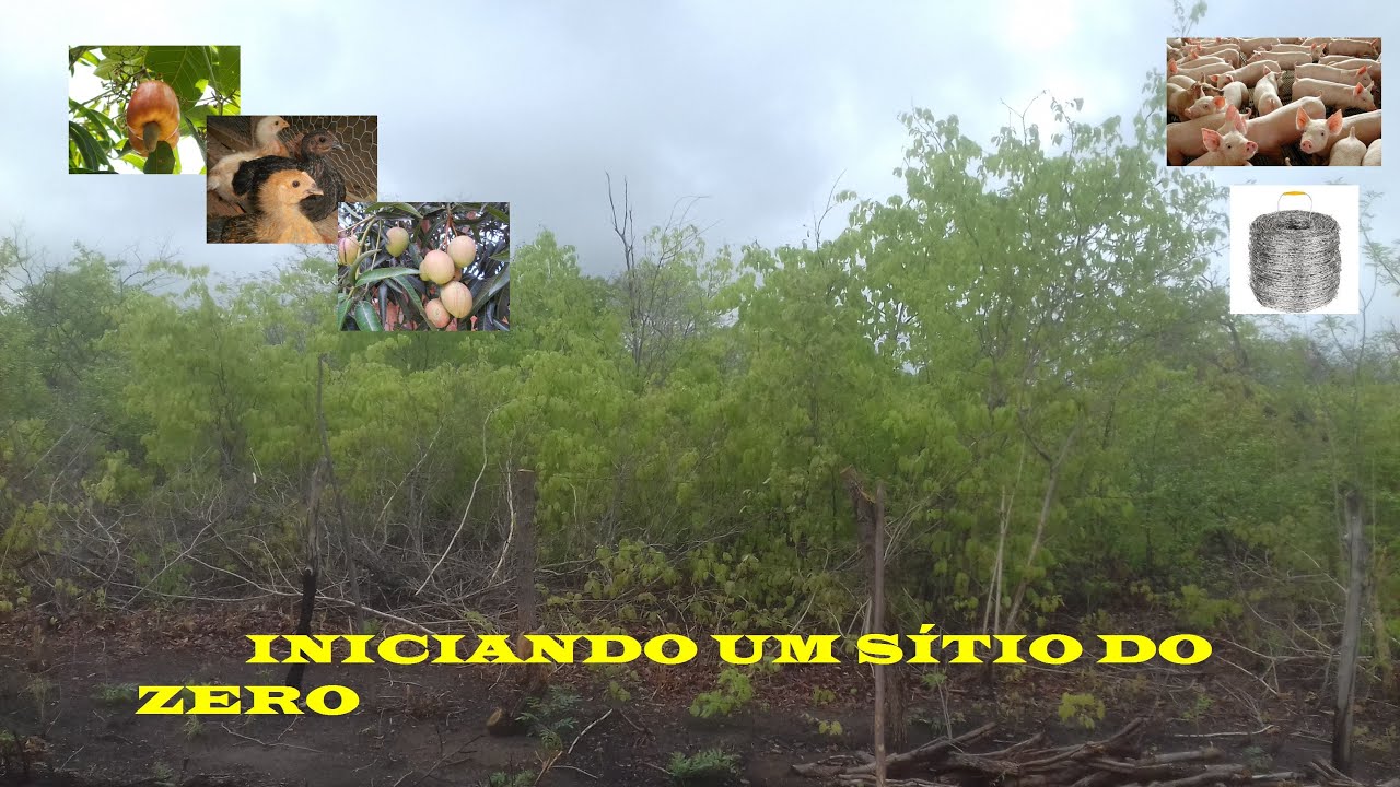 Come&ccedil;ando um sitio do zero!
