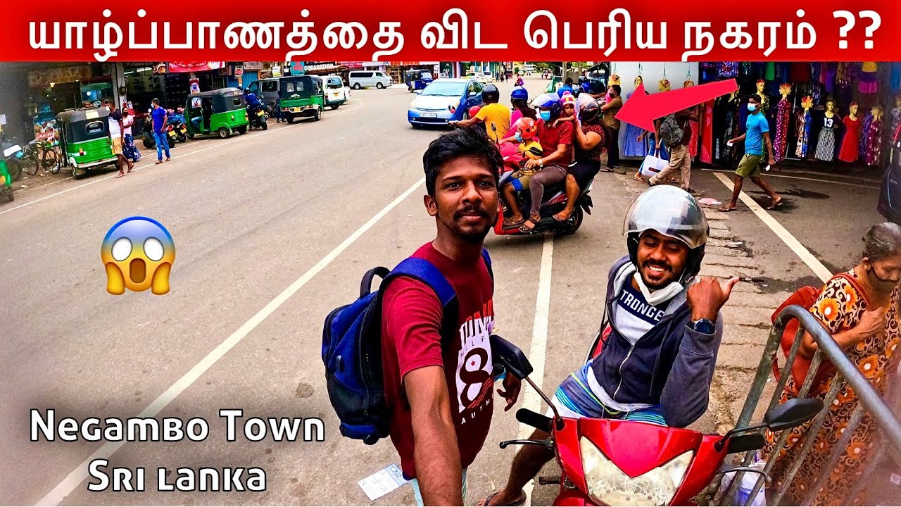 யாழ்ப்பாணத்தை விட பெரிய நகரம்? | negombo City Sri lanka | Jaffna Suthan