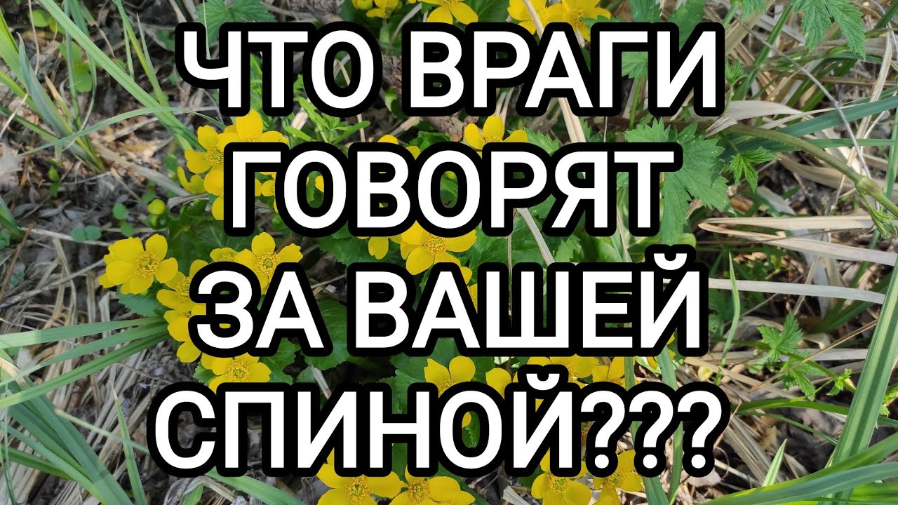 🍀Таро расклад🍀ЧТО ВРАГИ ГОВОРЯТ ЗА ВАШЕЙ СПИНОЙ???