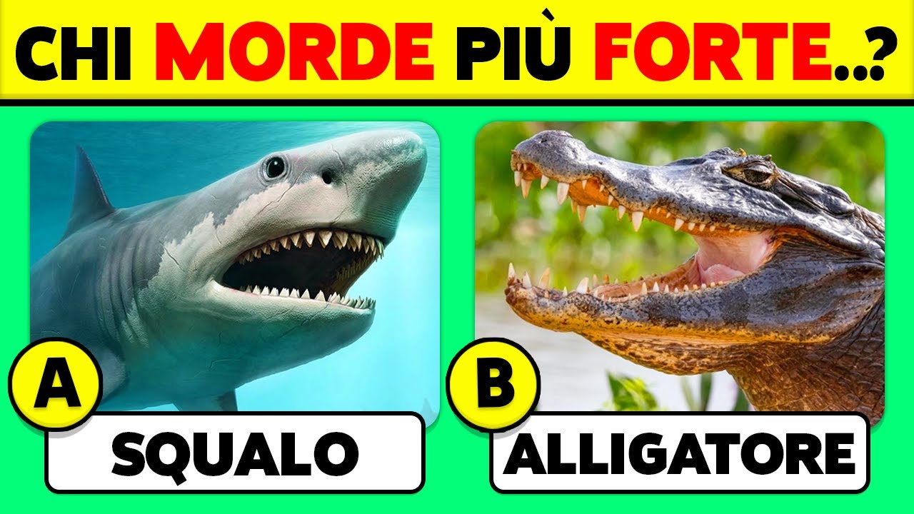 Conosci gli ANIMALI...? 🦓🐒🐦 50 Domande di CULTURA GENERALE ✅