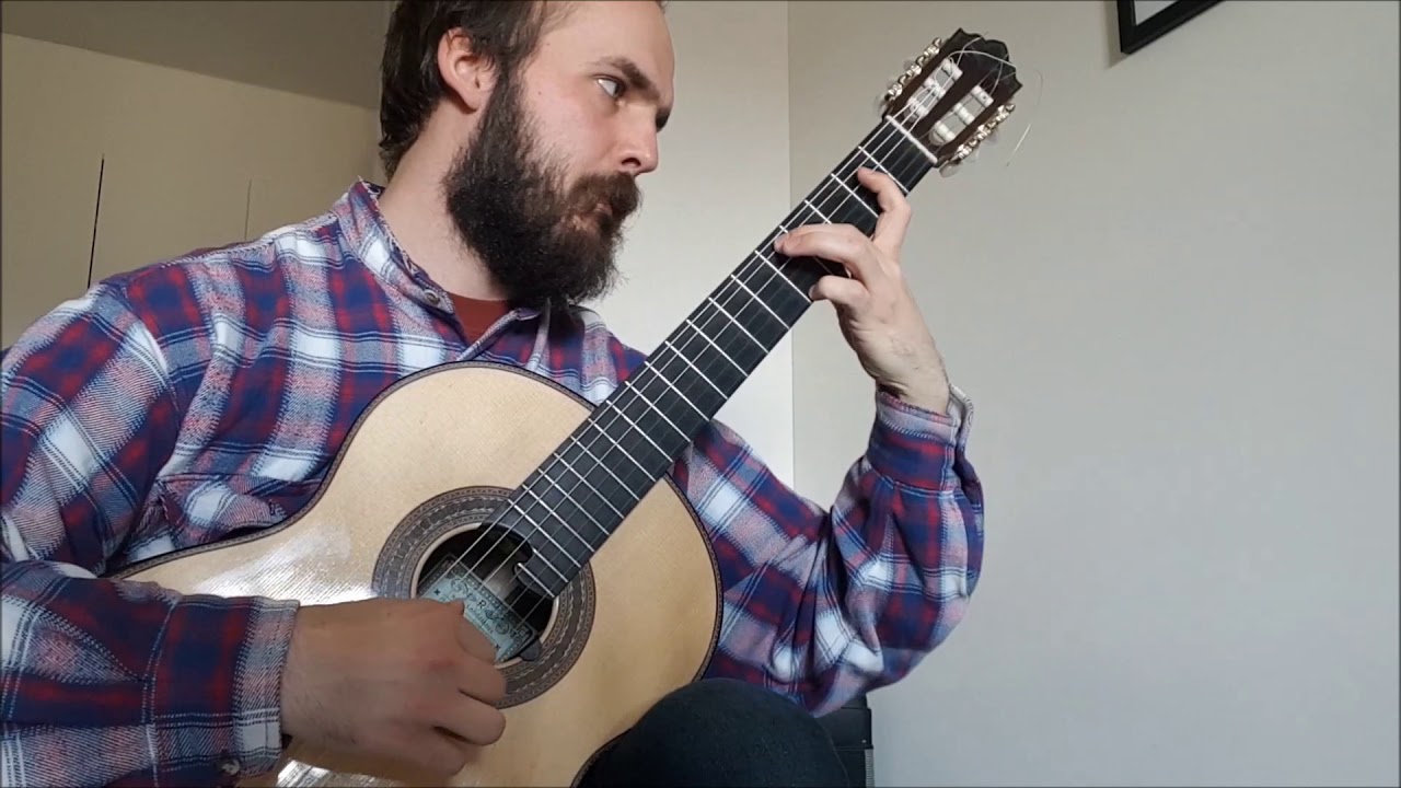 Franz Schubert - Ave maria (Classical guitar)