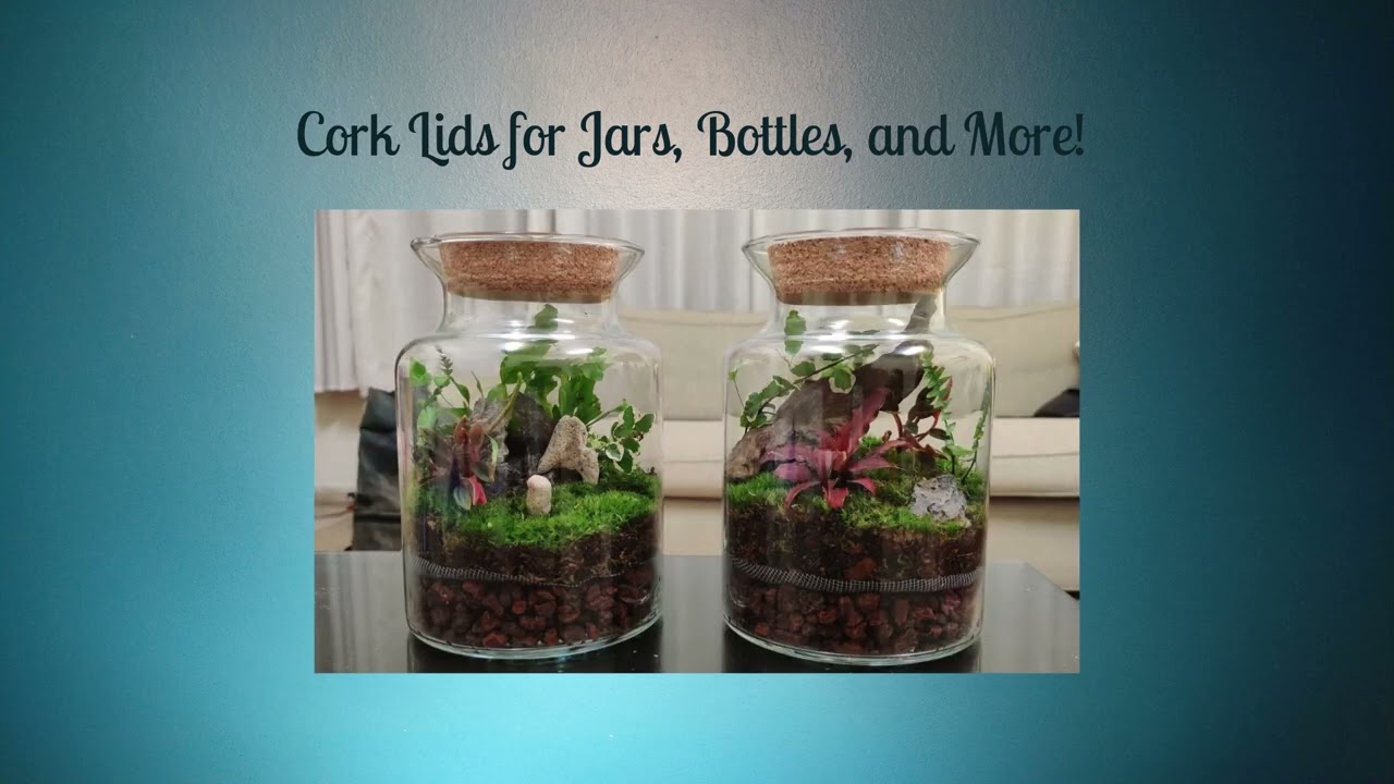 Cork Lids for Jars & Bottles – The Perfect Eco-Friendly Seal!