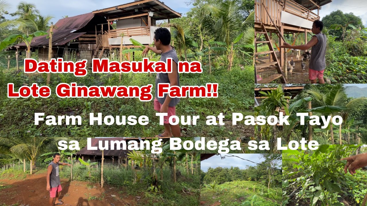 Update sa nabili naming Lote Dating Masukal na Lote Ginawang Farm