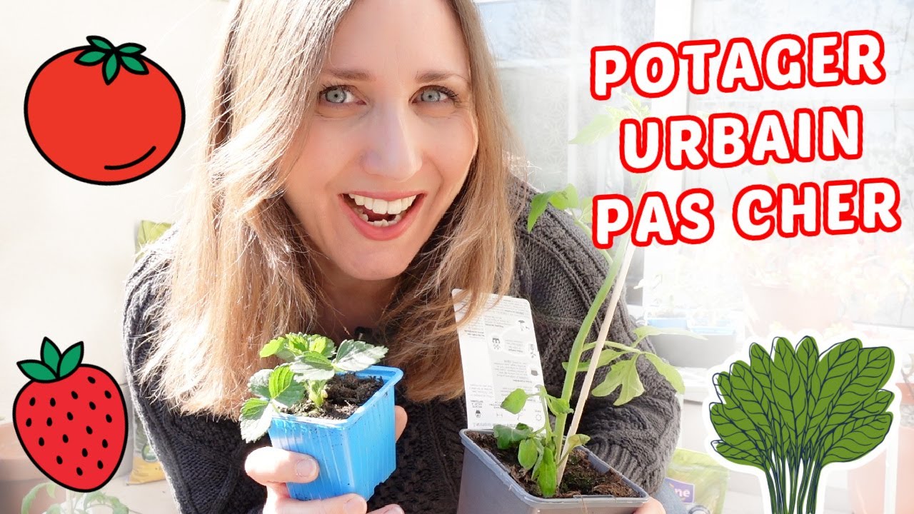 🍅 MON POTAGER URBAIN PAS CHER DÈS LE MOIS DE MARS : plantation & conseils 👩🏼‍🌾