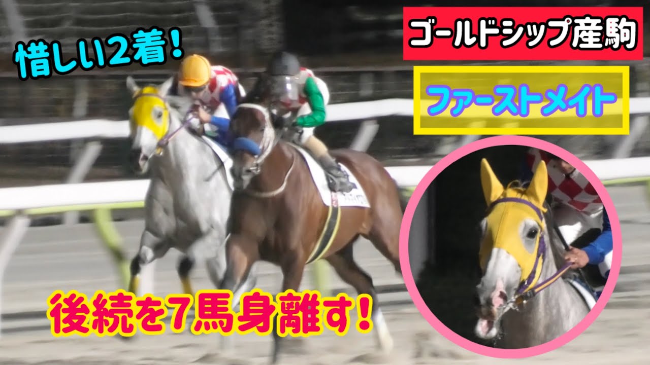 【ゴールドシップ産駒】父そっくり！クリクリおめめな可愛いファーストメイト、レースは0.1秒差の２着と健闘！