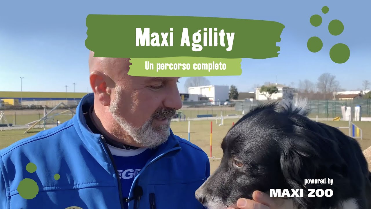 Maxi Agility - Un percorso completo