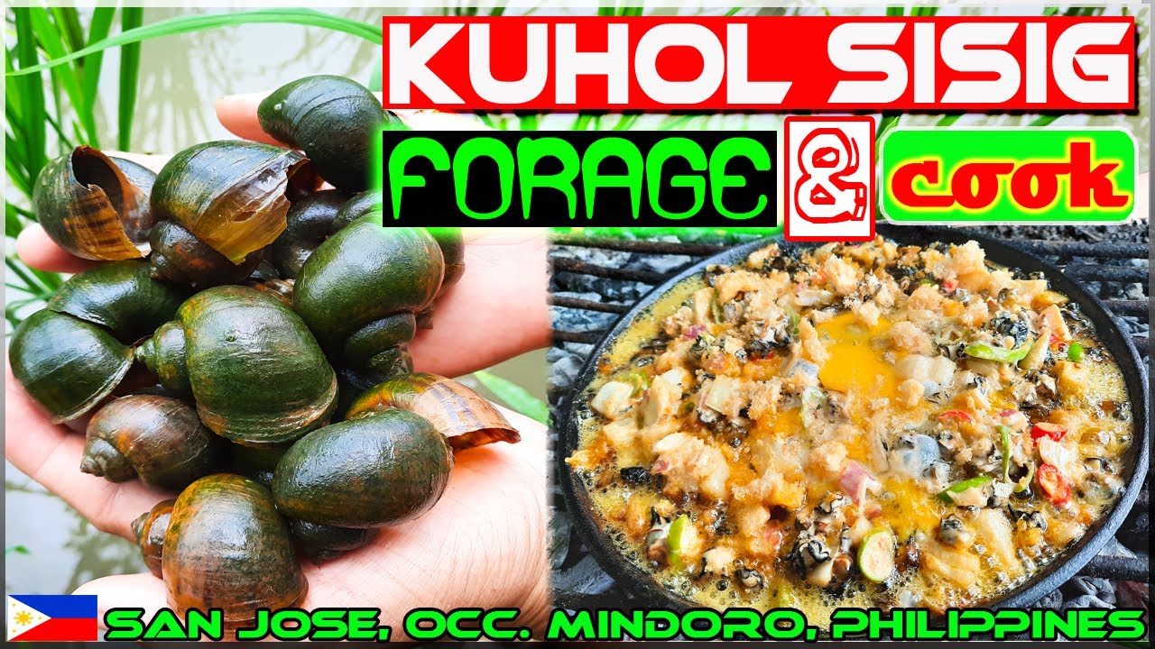EP135 - Kuhol sa Palayan at Sapa | Forage 'n Cook | Occ. Mindoro