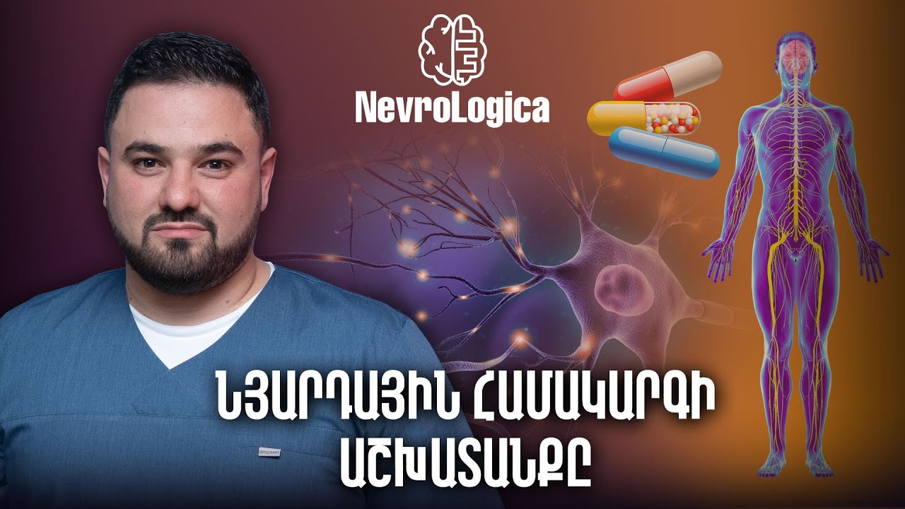 Նյարդային համակարգի աշխատանքը կառավարող նյութերը | NevroLogica 04