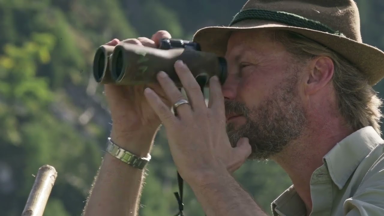 Trailer: Wild.  Auf Jagd im Gebirge   trailer 1080p