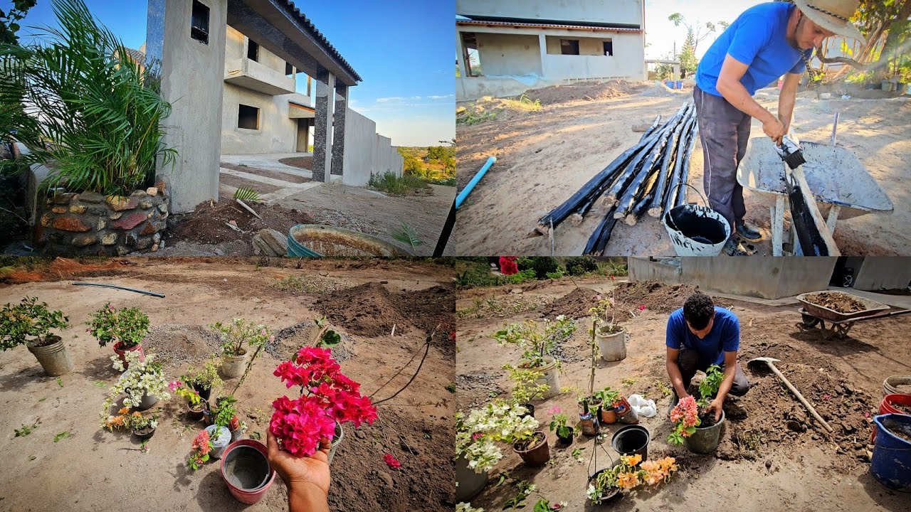 Começando o paisagismo da minha casa//comprei e ganhei novas plantas// cerca viva  e vaso de pedras
