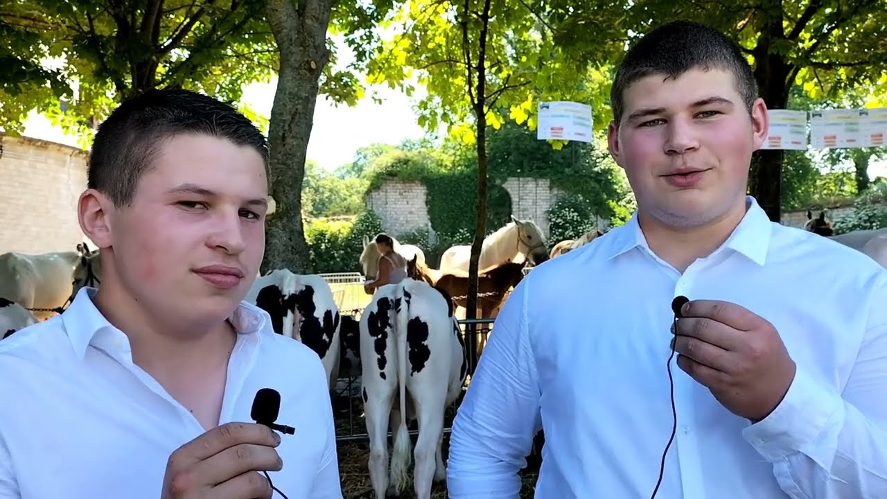 Reportage : foire agricole à Frévent