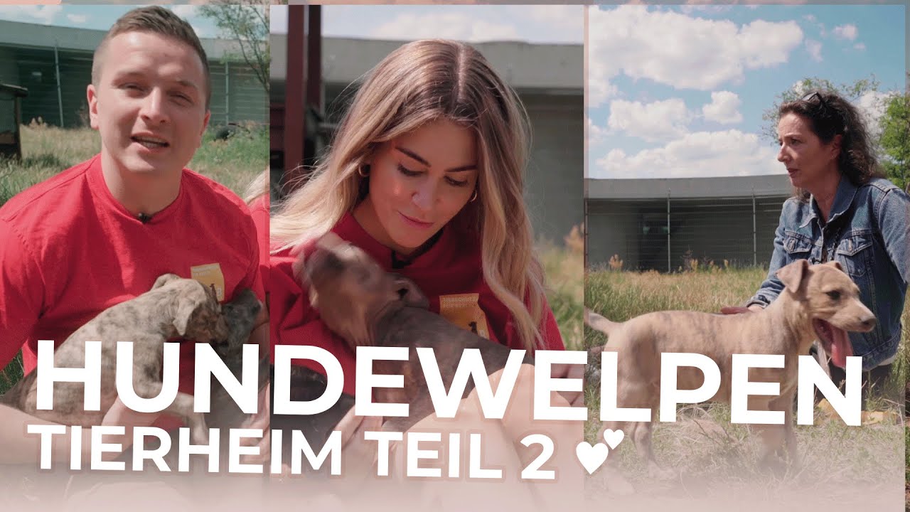 1 Tag im TIERHEIM mit Aaron Troschke! 😂 | MRS. BELLA