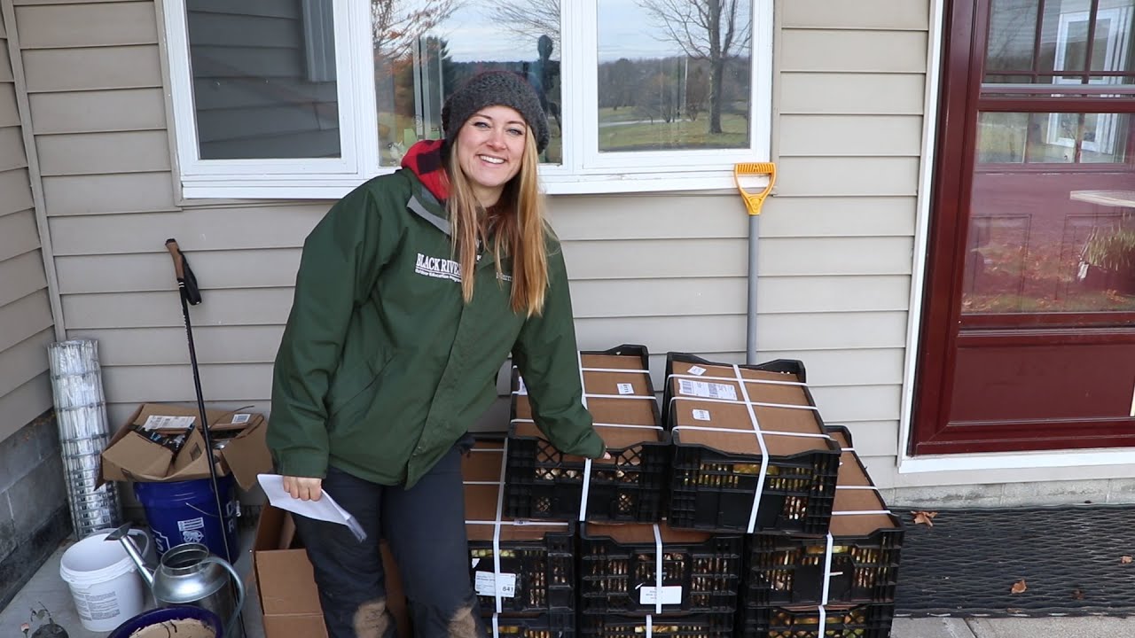 The Bulbs are FINALLY Here! Planting 2500 Tulips at Flower Hill Farm