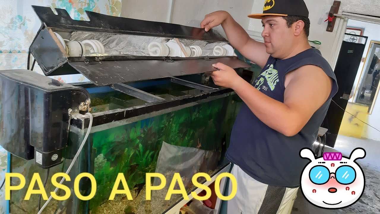 COMO HACER UNA LAMPARA CASERA PARA ACUARIO PLANTADO POR $15 DOLARES