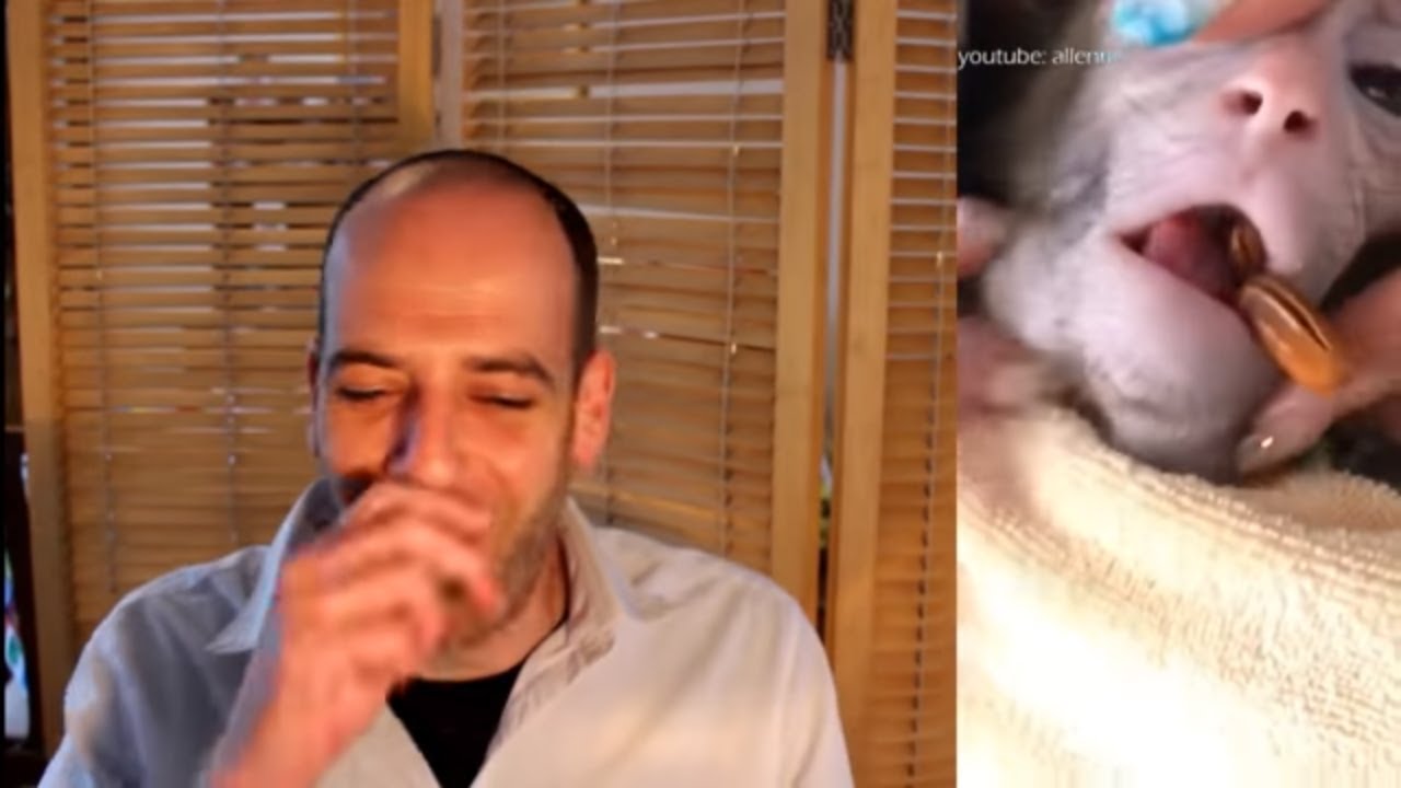 Reddit 50/50 challenge