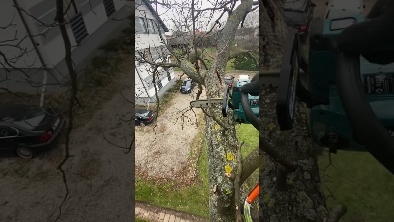 Przycinanie drzew. Makita 18V.