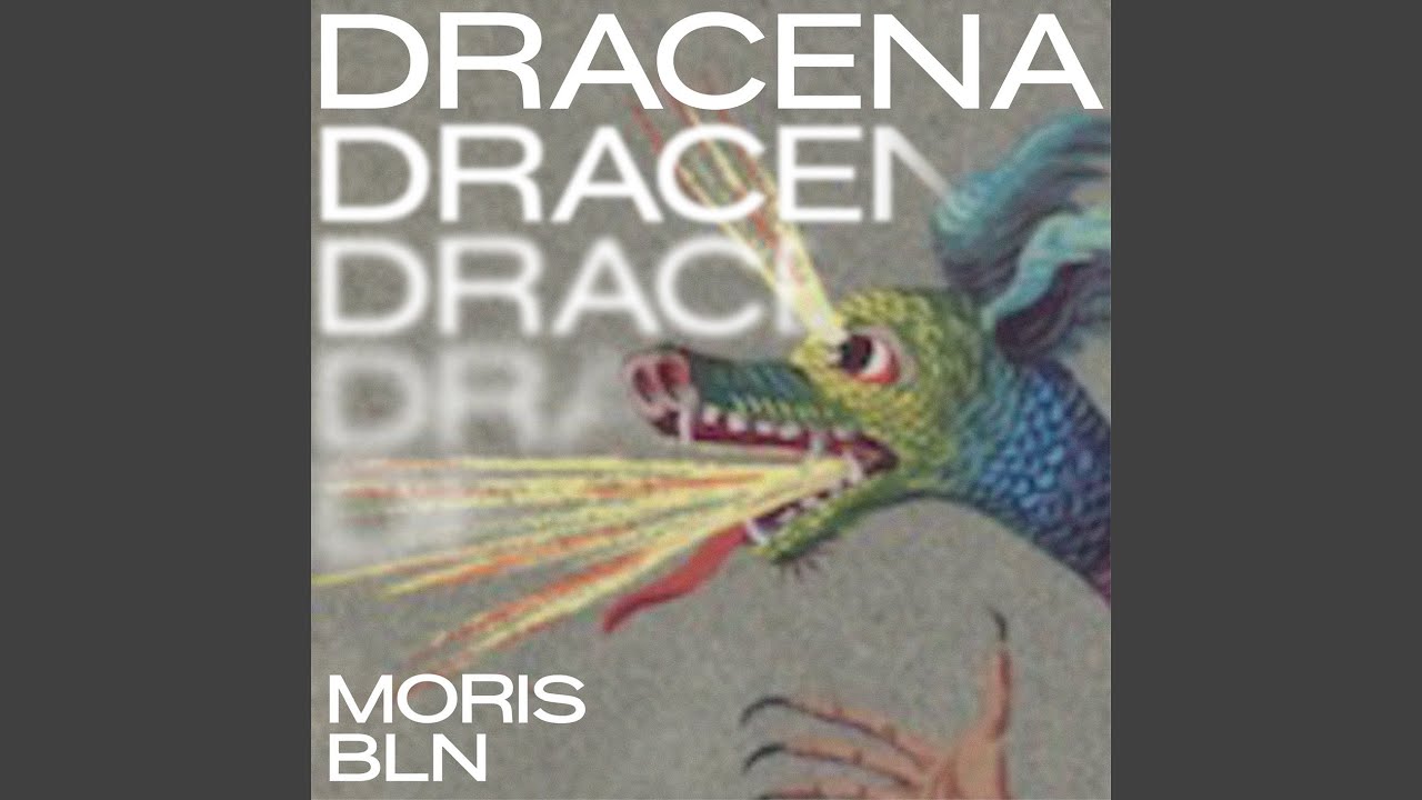 Dracena