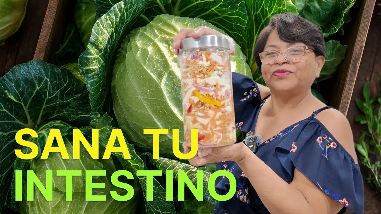 CURTIDO DE REPOLLO, Saludable y Lleno de Probióticos