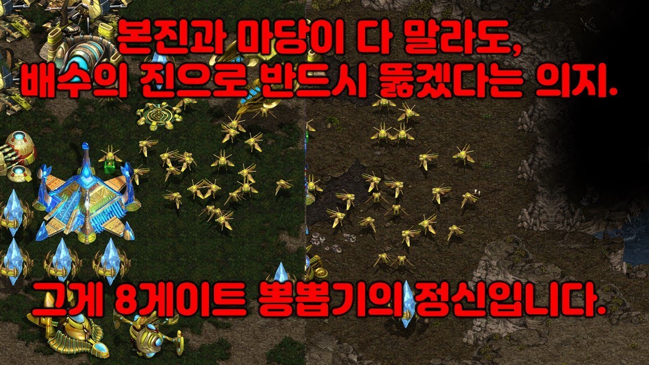 [토스 강의] 프저전 5햇 히드라 막고 마당 8겟 뽕뽑기