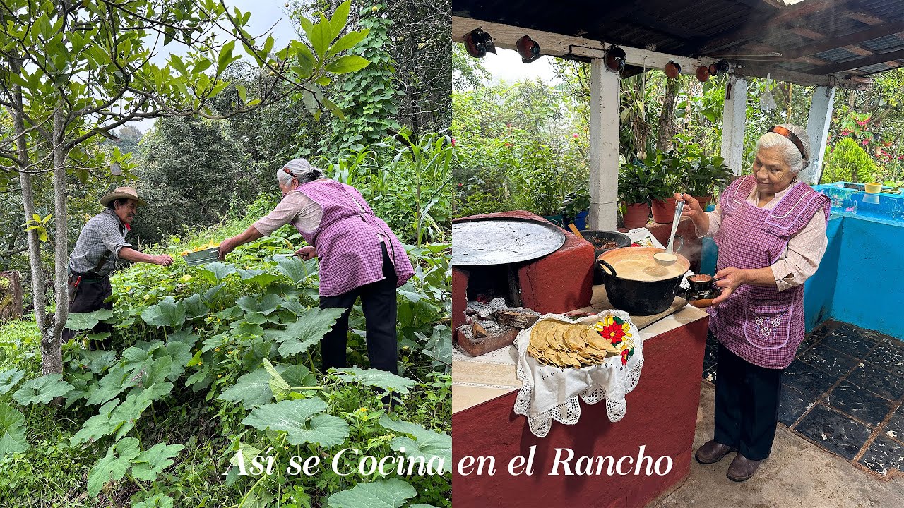 Un Verdadero Almuerzo De Rancho Vamos a Cortar Flores de Calabaza y Hacer Atole De Leche Buenísimo